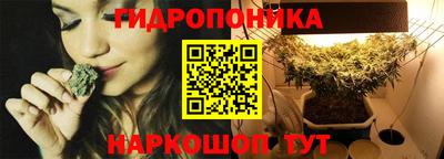 прущие грибы Малгобек
