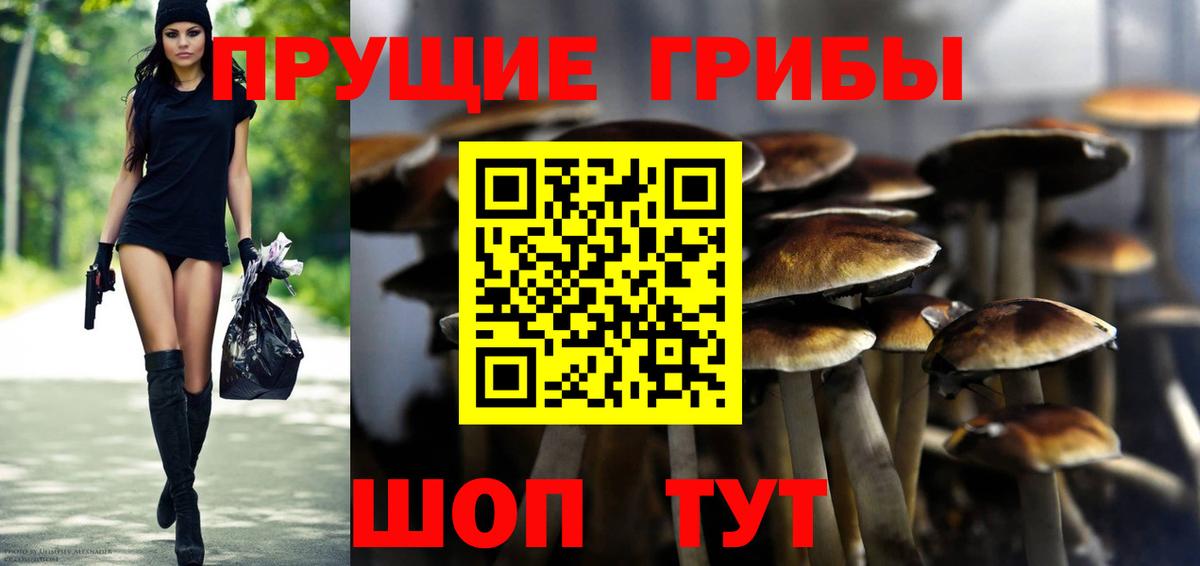 Дедовск  Галлюциногенные грибы мицелий  закладки  Вход с VPN 